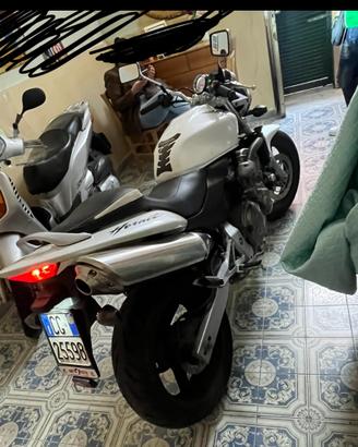 Hornet 600