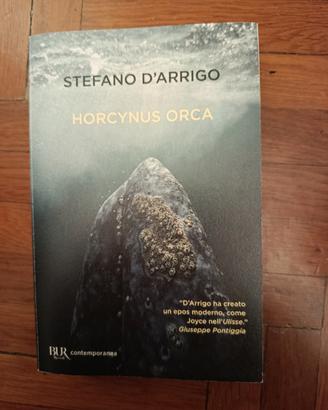 Horcynus Orca di Stefano D'Arrigo