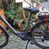 Bicicletta elettrica