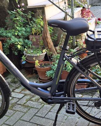 Bicicletta elettrica