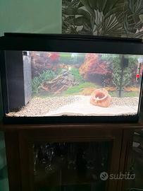 Acquario 60 litri completo con LED e pesci