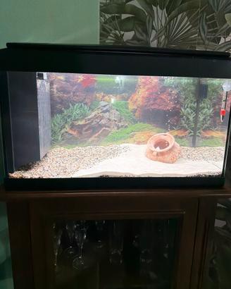 Acquario 60 litri completo con LED e pesci