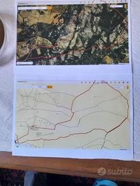 Stazzo 5 ettari zona Arzachena