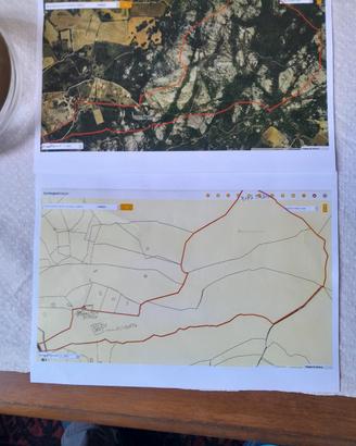 Stazzo 5 ettari zona Arzachena