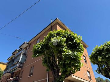 MONOLOCALE A BOLOGNA
