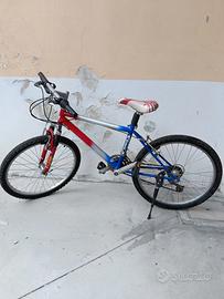 bicicletta 