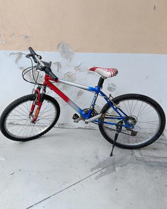 bicicletta 