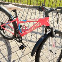 Bicicletta per ragazza
