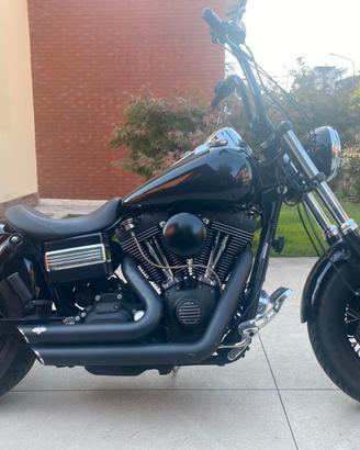 Harley davidson fat bob