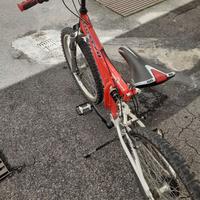 Mtb 24 silver star