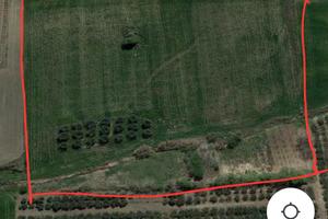 3ettari Montenero di Bisaccia (CB)