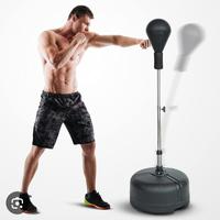 Punching Ball Boxe