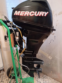 Motore fuoribordo Mercury 15 cavalli 4 tempi