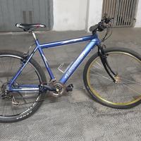 bottecchia 28 ibrida 