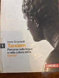 Libro di Latino Tandem