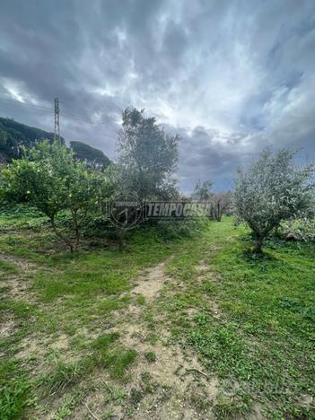 Terreno agricolo di circa 16.500 mq oltre deposito