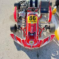 Kz birel art s14