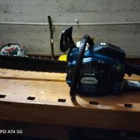 motosega professionale 