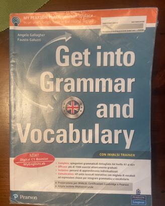 Get into the grammar and vocabulary