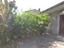 Immagine 14