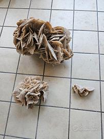 Rose del deserto (pietre di gesso)