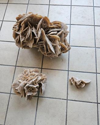 Rose del deserto (pietre di gesso)
