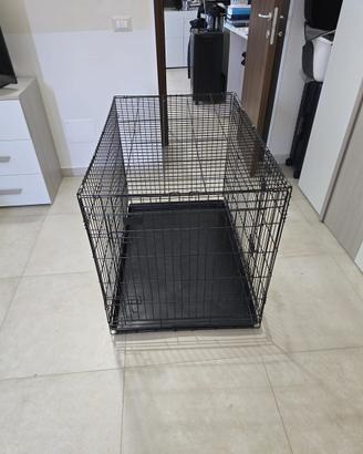 Kennel