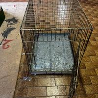 Gabbia per cani
