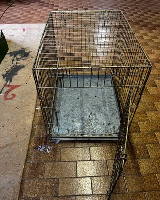 Gabbia per cani