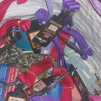 accessori vari per cani e gatti