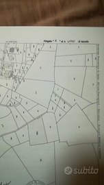 Area agricola e boschiva