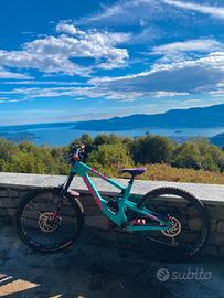 santa cruz bronson