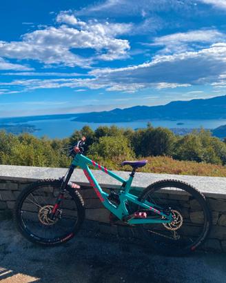 santa cruz bronson