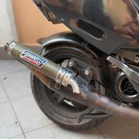 giannelli reverse piaggio