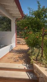 PAJARA SALENTINA-TRULLO a Pescoluse