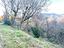 Immagine 25
