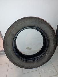 gomme Estive 185/65/15 