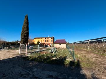 Terra tetto unifamiliare