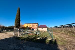 Terra tetto unifamiliare