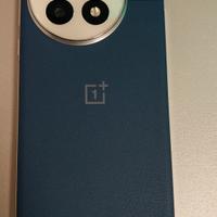 Oneplus 13 16/512 blue