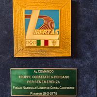 Targa commemorativa truppe Persano