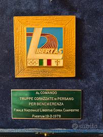 Targa commemorativa truppe Persano