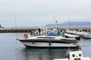 Wellcraft montecarlo 28