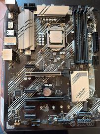 Intel Core i9-10900 + ASUS Prime Z490-P (LGA 1200)
