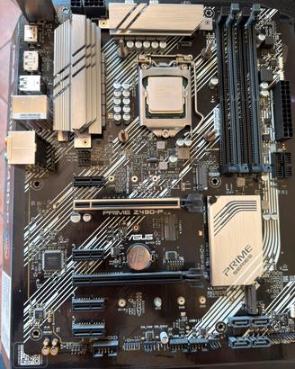 Intel Core i9-10900 + ASUS Prime Z490-P (LGA 1200)