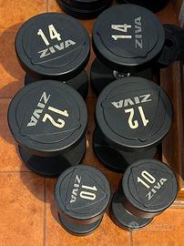 Manubri Professionali ZIVA - Set 4 Coppie