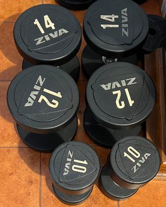 Manubri Professionali ZIVA - Set 4 Coppie