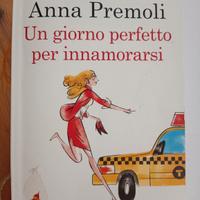 Un giorno perfetto per innamorarsi 