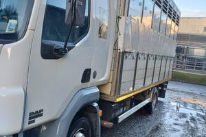 Camion DAF 45-180 trasporto animali vivi