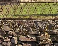 Inferriata per sopraluce in ferro lavorato